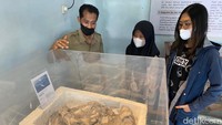 Seperti, fosil kepala banteng purba, gading dan rahang gajah, fosil paus purba, bekal kubur manusia kalang, artefak masa hindu-Budha hingga masa islam dan kolonial. Benda-benda pusaka juga tersimpan rapi, seperti keris, tombak, kudi, cempuling, pedang dan lain-lain. 