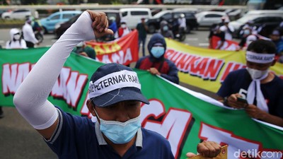 Peternak Ayam Geruduk DPR