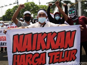 Merespons Sambat Peternak Ayam (Petelur)