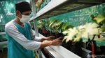 RPTRA Tiga Durian Jadi Sentra Anggur