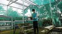 Nantinya sentra anggur itu akan dimanfaatkan oleh kelompok tani dari kelurahan dan kecamatan.