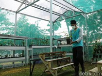 5 Hal Yang Perlu Diketahui Sebelum Membangun Greenhouse, Rumah Kaca untuk Tanaman