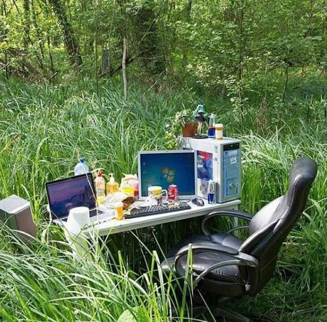 Mungkin maksudnya pemandangan alam yang asri bisa membuat suasana bekerja jadi lebih rileks. Tapi ya berdoa saja nggak ada serangga, ular atau bahkan hewan buas yang mendekati kamu. Foto: Instagram