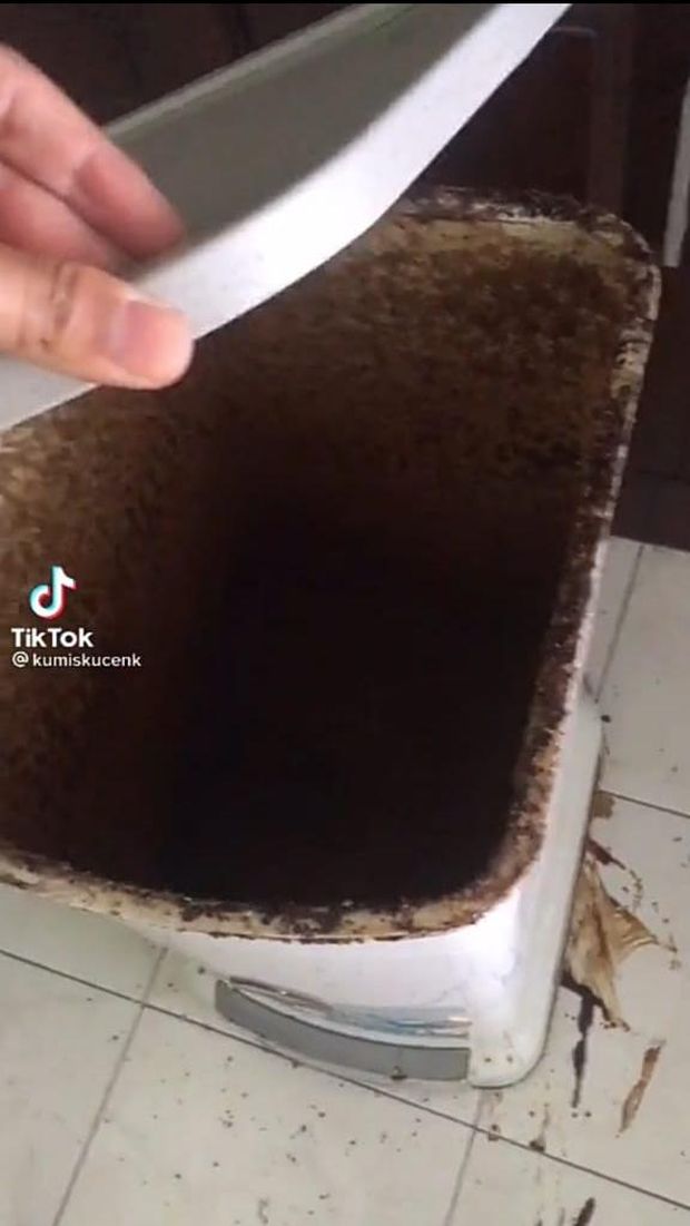 Kacau! Ditinggal Setahun, Kulkas dan Beras Netizen Ini Busuk Semua
