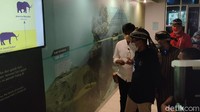 Desa Wisata Sangiran ini kelasnya dunia. Karena ini adalah situs yang diakui dunia dan UNESCO sebagai situs yang umurnya 1,8 juta tahun. Ini adalah situs yang menunjukkan bahwa peradaban kita adalah peradaban tinggi, puji Sandiaga. (Andika Tarmy/detikTravel)