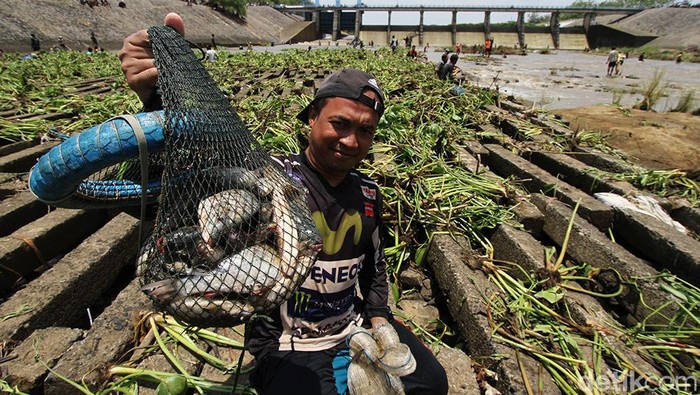 SerunyaWarga Sukoharjo Berburu Ikan di Bendungan Colo Saluran air di bendungan atau Dam Colo, Sukoharjo, Jawa Tengah, mulai ditutup hari ini. Warga pun tumpah ruah terjun ke sungai untuk berlomba-lomba mencari ikan.