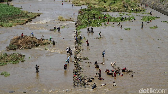 Saluran air di bendungan atau Dam Colo, Sukoharjo, Jawa Tengah, mulai ditutup hari ini. Warga pun tumpah ruah terjun ke sungai untuk berlomba-lomba mencari ikan.
