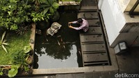 Kepala Badan Meteorologi Klimatologi dan Geofisika (BMKG) Bandung Teguh Rahayu mengatakan, fenomena ini terjadi pada saat matahari tepat berada di atas kepala pengamat atau di titik zenit, yang mengakibatkan bayangan benda tegak akan terlihat menghilang karena bertumpuk dengan benda itu sendiri.