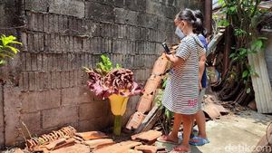 Bunga Bangkai di Cilandak Beda dengan Rafflesia Arnoldii, Ini Penjelasannya