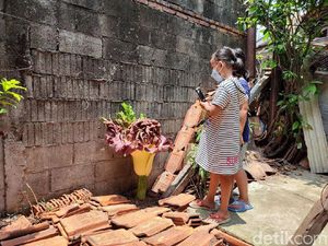 Bunga Bangkai di Cilandak Beda dengan Rafflesia Arnoldii, Ini Penjelasannya