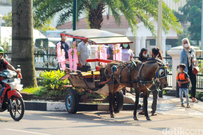 Delman di Bogor