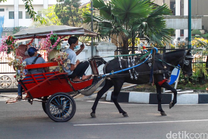 Delman di Bogor