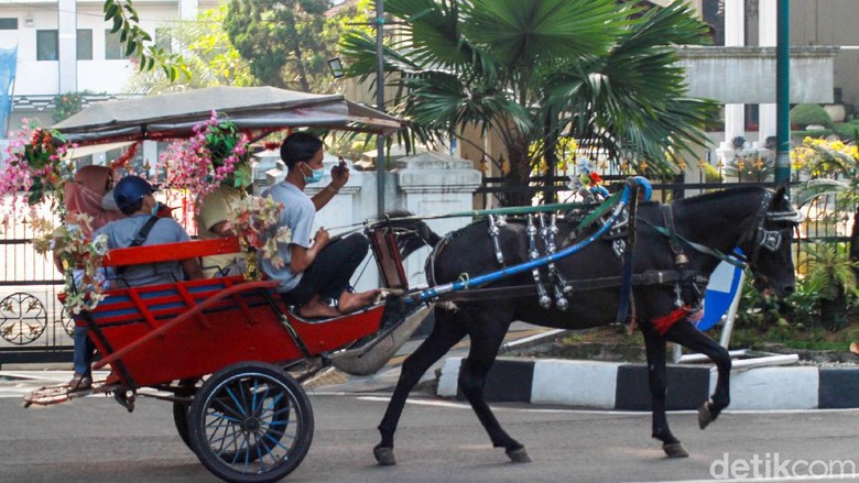 Delman di Bogor Delman di Bogor