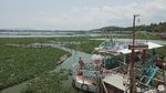 Kapal Wisata Rawa Jombor: Dulu Ikon, Kini Mangkrak Dikepung Eceng Gondok