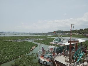 Dikepung Enceng Gondok, Kapal Wisata di Rawa Jombor Klaten Mangkrak