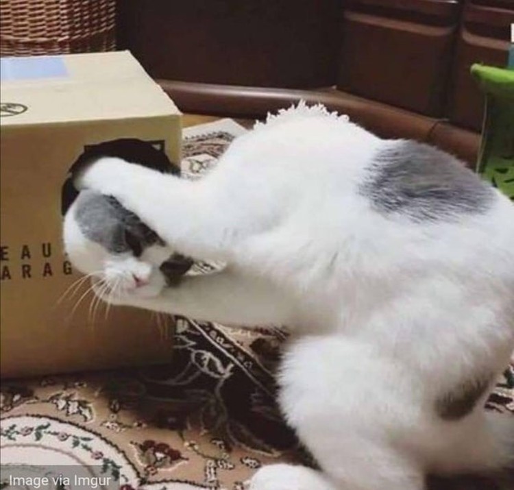 Foto menipu mata
