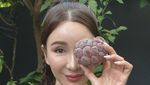 Hobi Berkebun, Jamie Chua Punya Pohon Lemon Rp 14 Juta!