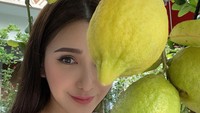 Jamie Chua mengungkap, sejauh ini biaya terbesarnya untuk berkebun dihabiskan untuk memelihara pohon lemon. Dia punya sekitar 10 pohon dan yang paling mahal adalah lemon Meyer dengan harga lebih dari USD 1.000 (Rp 14,2 juta).