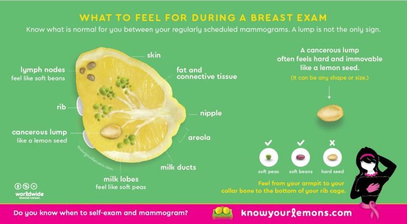 Kampanye Know Your Lemons