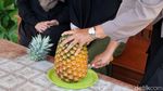 Manisnya Bisnis Nanas Bagong yang Ditanam Polwan Bantul