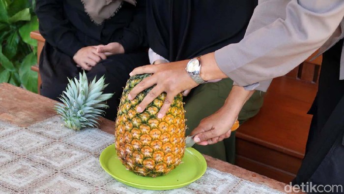 Keren! Polwan Ini Sukses Budidaya Nanas Bagong Tri Asih (39) anggota Polsek Sanden, Kabupaten Bantul sukses membudidayakan nanas bagong. Bahkan, saat ini warga sekitar ikut menanam nanas untuk menambah pendapatan.
