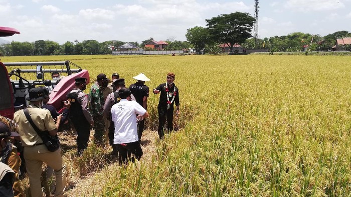 Mentan Syahrul Yasin Limpo kunker ke Sukoharjo