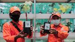 Lahan RPTRA Dimanfaatkan untuk Budidaya Bibit Anggur