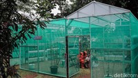 Hal ini untuk mendukung gerakan kebun pertanian urban dengan memanfaatkan lahan terbuka yang tersisa di ruang publik Ibu Kota.