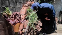 Terlihat juga banyak warga yang berdatangan untuk melihat dan mendokumentasikan kondisi bunga tersebut.