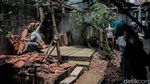 Potret Tanaman Mirip Bunga Bangkai yang Mekar di Cilandak