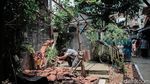 Potret Tanaman Mirip Bunga Bangkai yang Mekar di Cilandak