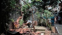 Adanya bunga tersebut menarik perhatian warga.