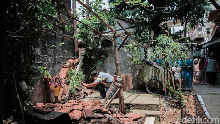Tanaman mirip bunga bangkai tumbuh dan mekar di pekarangan warga Cipete Selatan, Cilandak, Jakarta Selatan. Hal ini menyita perhatian warga sekitar hingga viral di media sosial.