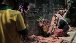 Potret Tanaman Mirip Bunga Bangkai yang Mekar di Cilandak