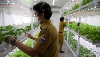 Sejumlah petugas tengah merawat tanaman yang dibudi dayakan dengan metode container farming dan agro electrifying di Agro Edukasi Wisata Ragunan, Pasar Minggu, Jakarta Selatan.