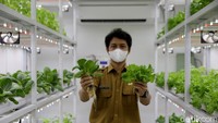Metode container farming ini diharapkan dapat menjadi salah satu solusi untuk masyarakat di kawasan perkotaan agar tetap dapat berkebun di tengah terbatasnya lahan.