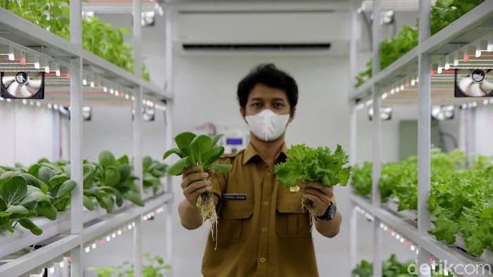 Kegiatan berkebun makin diminati di masa pandemi COVID-19 oleh masyarakat urban. Container farming ini pun bisa jadi solusi berkebun dengan lahan yang minim.