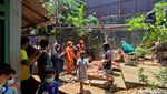 Potret Tanaman Mirip Bunga Bangkai di Cilandak yang Sita Perhatian Warga