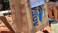 Foto: Warga setempat juga memasang kotak sumbangan seikhlasnya bagi pengunjung yang hendak melihat-lihat tanaman mirip bunga bangkai itu (Nahda Rizki Utami/detikcom)
