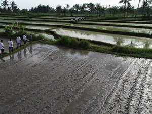 90% Karyawan Mengaku Bangga dan Senang Bekerja di Perusahaan Ini