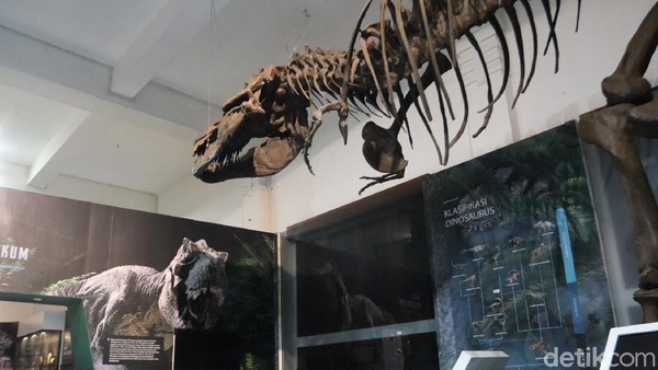 Jika nanti dibuka, pengelola memperbolehkan 25 orang pengunjung yang masuk kedalam museum. Terdapat beberapa ruangan di museum tersebut, jika 25 orang pertama sudah masuk salah satu ruangan dan melanjutkan ke ruangan lainnya, makan 25 orang pengunjung berikutnya bisa masuk. Jika nanti dibuka, pengelola memperbolehkan 25 orang pengunjung yang masuk kedalam museum. Terdapat beberapa ruangan di museum tersebut, jika 25 orang pertama sudah masuk salah satu ruangan dan melanjutkan ke ruangan lainnya, makan 25 orang pengunjung berikutnya bisa masuk.