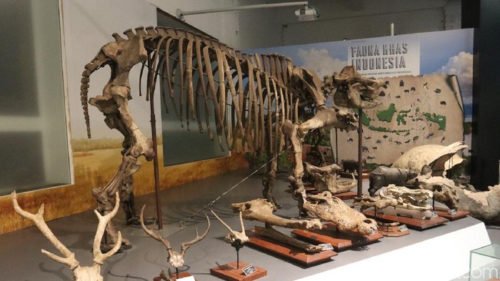 Museum Geologi Bandung sudah dapat beroperasi kembali. Hasil simulasi Dinas Kebudayaan dan Pariwisata (Disbudpar) Kota Bandung, Museum Geologi sudah layak dibuka.