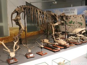 5 Museum di Bandung yang Seru untuk Dikunjungi