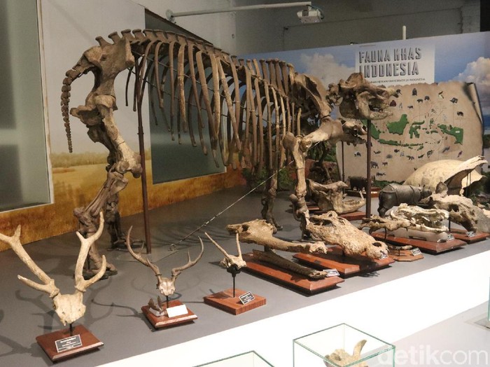 Museum Geologi Bandung sudah dapat beroperasi kembali. Hasil simulasi Dinas Kebudayaan dan Pariwisata (Disbudpar) Kota Bandung, Museum Geologi sudah layak dibuka.