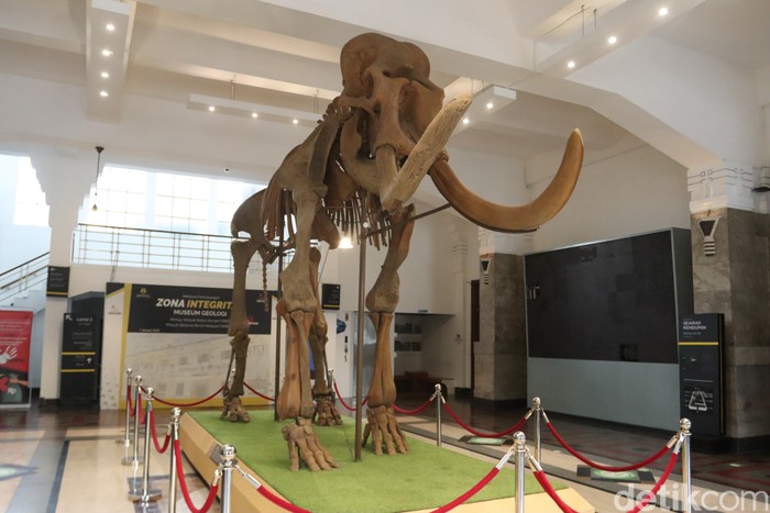 Museum Geologi Bandung sudah dapat beroperasi kembali. Hasil simulasi Dinas Kebudayaan dan Pariwisata (Disbudpar) Kota Bandung, Museum Geologi sudah layak dibuka.