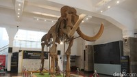 Museum Geologi Bandung sudah dapat beroperasi kembali. Hasil simulasi Dinas Kebudayaan dan Pariwisata (Disbudpar) Kota Bandung, Museum Geologi sudah layak dibuka. Hal tersebut dilihat dari persiapan prokes yang sudah dipersiapkan pengelola.