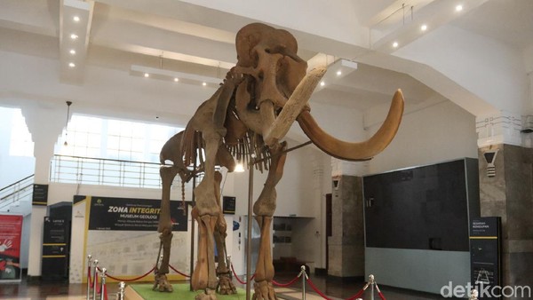 Museum Geologi Bandung sudah dapat beroperasi kembali. Hasil simulasi Dinas Kebudayaan dan Pariwisata (Disbudpar) Kota Bandung, Museum Geologi sudah layak dibuka. Hal tersebut dilihat dari persiapan prokes yang sudah dipersiapkan pengelola. Museum Geologi Bandung sudah dapat beroperasi kembali. Hasil simulasi Dinas Kebudayaan dan Pariwisata (Disbudpar) Kota Bandung, Museum Geologi sudah layak dibuka. Hal tersebut dilihat dari persiapan prokes yang sudah dipersiapkan pengelola.