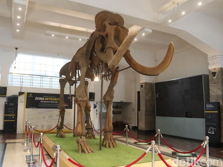 Asyik, Museum Geologi Bandung Siap Dibuka