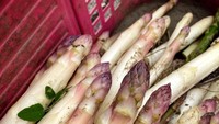 Semua bahan makanan yang dipakai Noma adalah bahan alami, segar, dan tak jarang diambil dari kebun sendiri. Salah satunya asparagus ini.