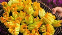 Bunga zucchini yang cantik ini bakal dikreasikan tim Noma. Mereka menjadikannya isian zucchini.